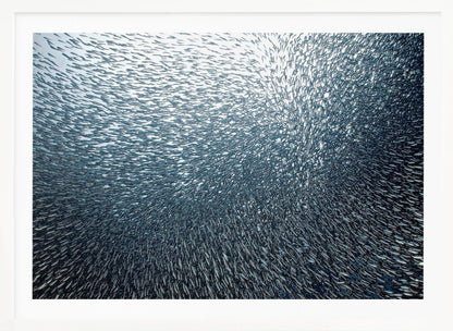 A massive, swirling school of countless small, silvery fish underwater, creating a dense, textured pattern. The light source from above illuminates the upper part of the school against a bright background, which darkens to a deep blue in the lower part of the image. The entire artwork is presented within a silver frame. Decor