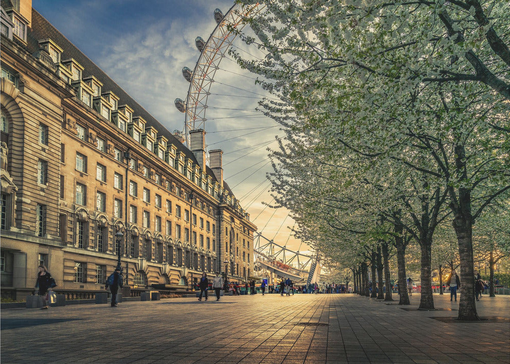 Last Daylights at the London Eye - Poster / Art Print