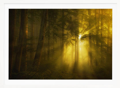 A landscape photograph of a dense, misty forest where golden sunbeams dramatically stream through the tall trees, illuminating the fog and creating a magical, ethereal atmosphere. The image is enclosed in a silver frame. Poster