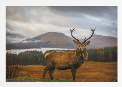 A majestic red deer stag with large antlers stands on a grassy hill, looking directly forward. In the background, a serene lake is surrounded by a dense forest and misty mountains under a dramatic, cloudy sky. The entire photograph is displayed within a silver-colored frame. Poster