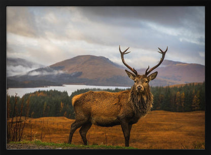A majestic red deer stag with large antlers stands on a grassy hill, looking directly forward. In the background, a serene lake is surrounded by a dense forest and misty mountains under a dramatic, cloudy sky. The entire photograph is displayed within a silver-colored frame. Poster
