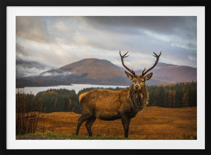 A majestic red deer stag with large antlers stands on a grassy hill, looking directly forward. In the background, a serene lake is surrounded by a dense forest and misty mountains under a dramatic, cloudy sky. The entire photograph is displayed within a silver-colored frame. Poster