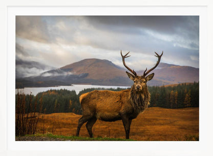 A majestic red deer stag with large antlers stands on a grassy hill, looking directly forward. In the background, a serene lake is surrounded by a dense forest and misty mountains under a dramatic, cloudy sky. The entire photograph is displayed within a silver-colored frame. Poster