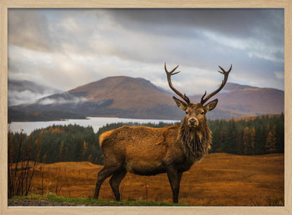 A majestic red deer stag with large antlers stands on a grassy hill, looking directly forward. In the background, a serene lake is surrounded by a dense forest and misty mountains under a dramatic, cloudy sky. The entire photograph is displayed within a silver-colored frame. Poster