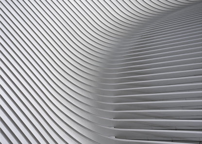 A framed, close-up, abstract photograph of a modern architectural structure. Parallel white ribs curve and undulate across the frame, creating a sense of movement and rhythm through the interplay of light and shadow. Artwork