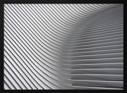 A framed, close-up, abstract photograph of a modern architectural structure. Parallel white ribs curve and undulate across the frame, creating a sense of movement and rhythm through the interplay of light and shadow. Artwork