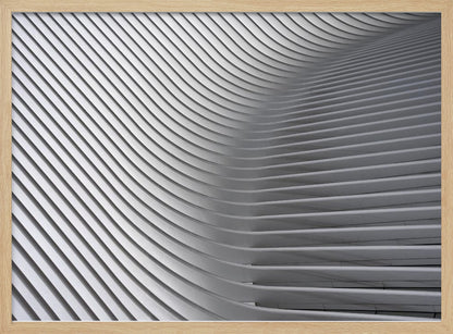 A framed, close-up, abstract photograph of a modern architectural structure. Parallel white ribs curve and undulate across the frame, creating a sense of movement and rhythm through the interplay of light and shadow. Artwork