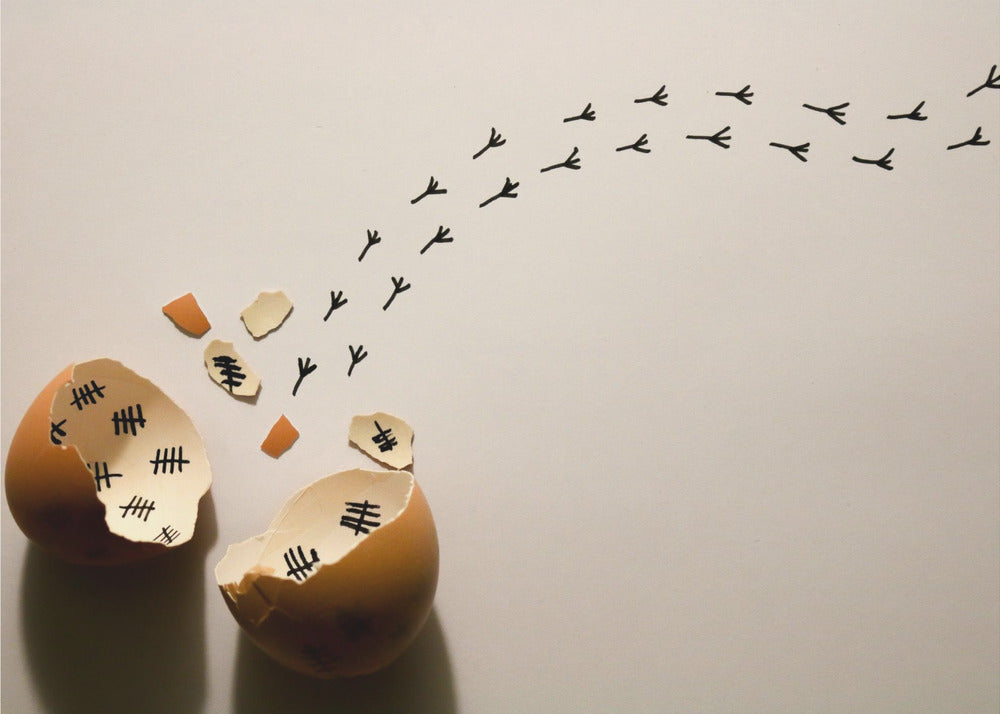 A conceptual art piece showing a broken brown eggshell against a beige background. Inside the shell are black tally marks, as if counting days. A trail of tiny black chicken footprints leads away from the egg, suggesting a chick has finally hatched and escaped after a long wait. Artwork
