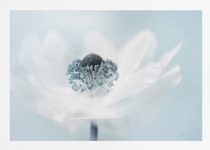 A dreamy, soft-focus macro photograph of a single white anemone flower. The flower has a dark center surrounded by delicate blue-tipped stamens. The background is a soft, pale blue, and the entire image is presented within a silver frame. Wall Art