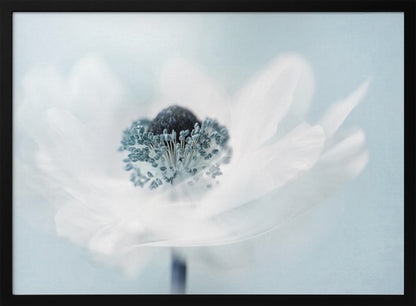 A dreamy, soft-focus macro photograph of a single white anemone flower. The flower has a dark center surrounded by delicate blue-tipped stamens. The background is a soft, pale blue, and the entire image is presented within a silver frame. Wall Art