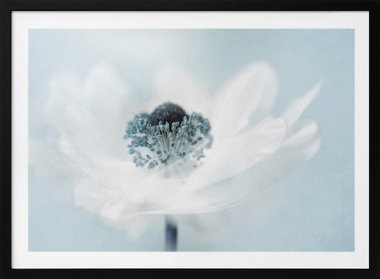 A dreamy, soft-focus macro photograph of a single white anemone flower. The flower has a dark center surrounded by delicate blue-tipped stamens. The background is a soft, pale blue, and the entire image is presented within a silver frame. Wall Art