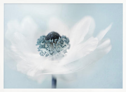 A dreamy, soft-focus macro photograph of a single white anemone flower. The flower has a dark center surrounded by delicate blue-tipped stamens. The background is a soft, pale blue, and the entire image is presented within a silver frame. Wall Art