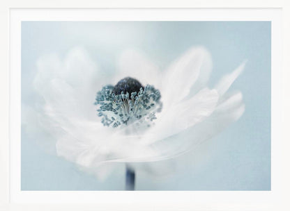 A dreamy, soft-focus macro photograph of a single white anemone flower. The flower has a dark center surrounded by delicate blue-tipped stamens. The background is a soft, pale blue, and the entire image is presented within a silver frame. Wall Art