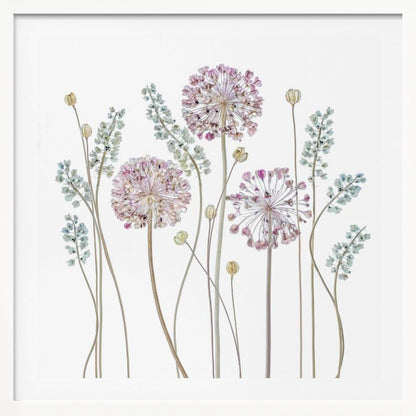 A botanical art print in a light wood frame, featuring delicate pressed allium flowers with pink and purple globes and slender stems, interspersed with sprigs of muted blue-green foliage against a clean white background. Poster