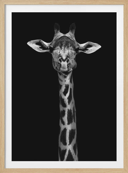 A striking black and white portrait of a giraffe against a solid black background. The giraffe is looking directly forward with a comical expression, its left cheek puffed out as if chewing. Decor