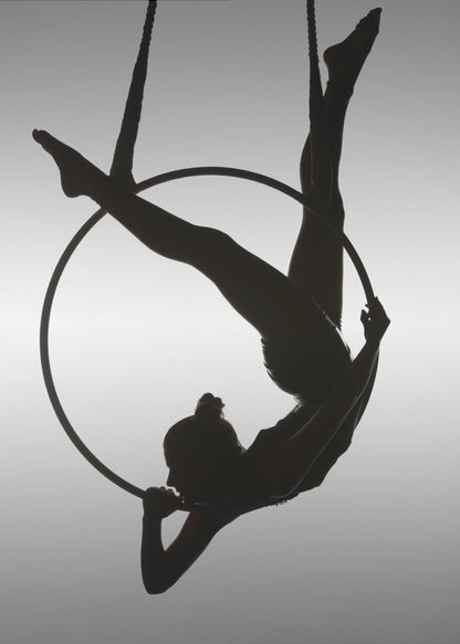 A black silhouette of a graceful female acrobat in an inverted pose on a suspended aerial hoop, set against a light grey background. Print