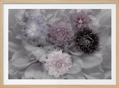 A soft-focus floral artwork in a silver frame, featuring a dense arrangement of dahlias. The image is mostly grayscale, with the flowers highlighted in muted tones of lavender, mauve, and deep purple for a dreamy, romantic feel. Print