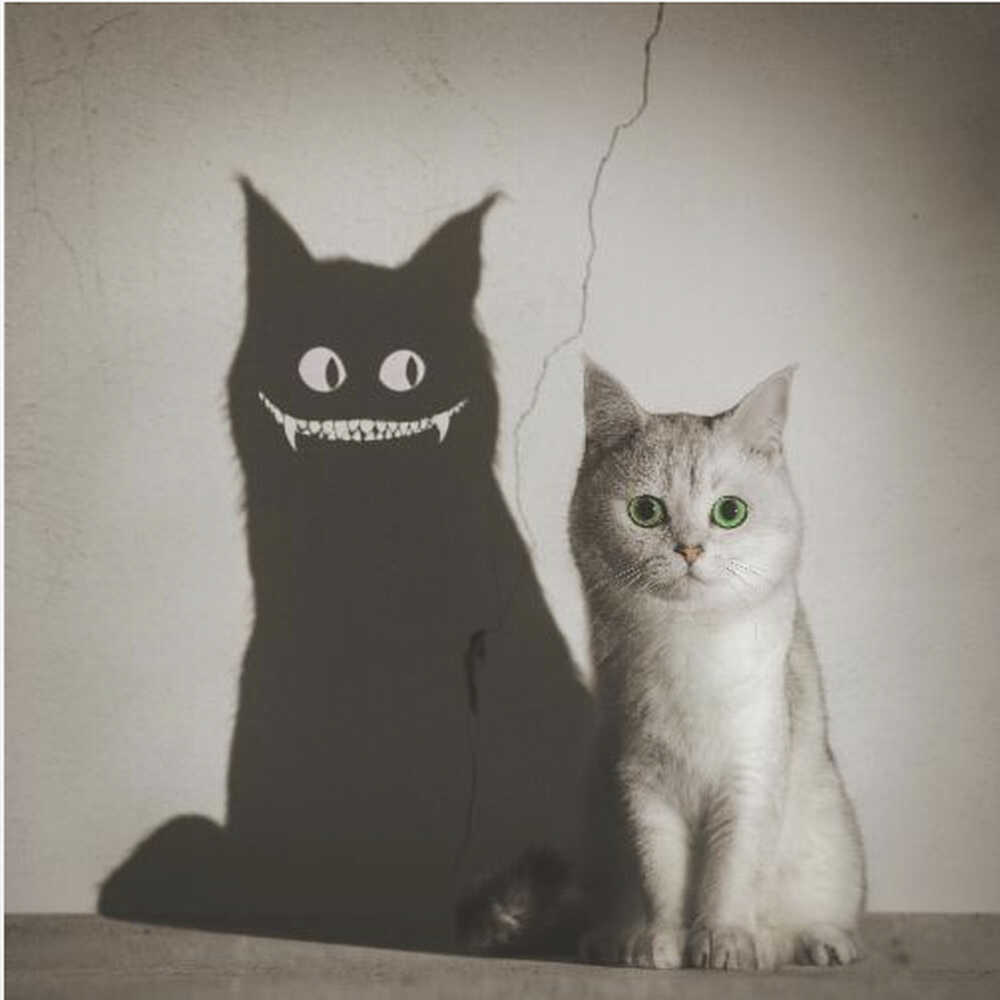 A photographic artwork of a cute, silver-grey cat with vibrant green eyes sitting beside its shadow, which is distorted into a monstrous black creature with large white eyes and a sharp, toothy grin against a cracked wall. Decor