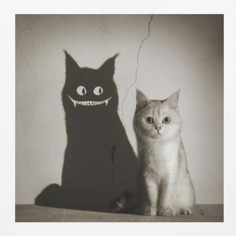 A photographic artwork of a cute, silver-grey cat with vibrant green eyes sitting beside its shadow, which is distorted into a monstrous black creature with large white eyes and a sharp, toothy grin against a cracked wall. Decor