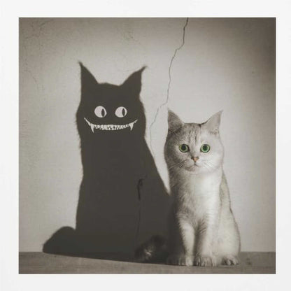 A photographic artwork of a cute, silver-grey cat with vibrant green eyes sitting beside its shadow, which is distorted into a monstrous black creature with large white eyes and a sharp, toothy grin against a cracked wall. Decor