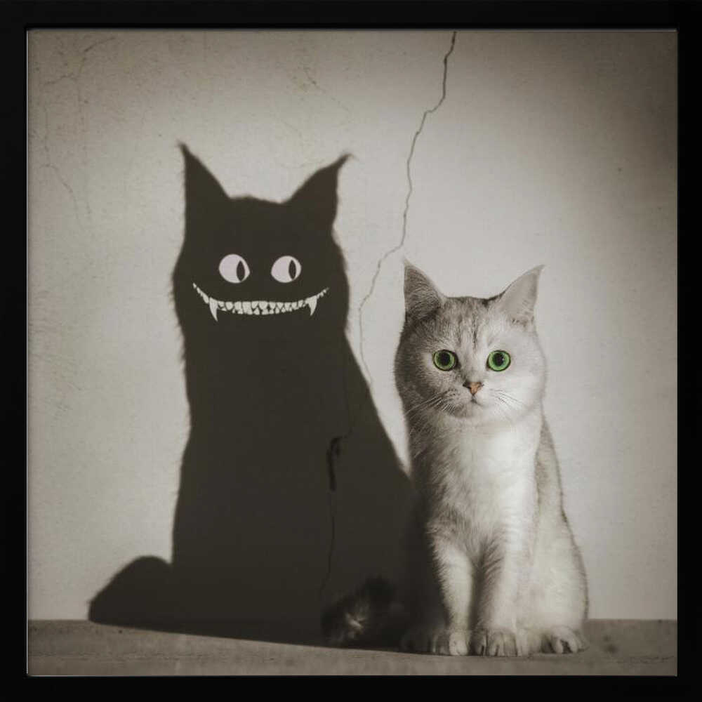 A photographic artwork of a cute, silver-grey cat with vibrant green eyes sitting beside its shadow, which is distorted into a monstrous black creature with large white eyes and a sharp, toothy grin against a cracked wall. Decor