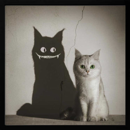 A photographic artwork of a cute, silver-grey cat with vibrant green eyes sitting beside its shadow, which is distorted into a monstrous black creature with large white eyes and a sharp, toothy grin against a cracked wall. Decor