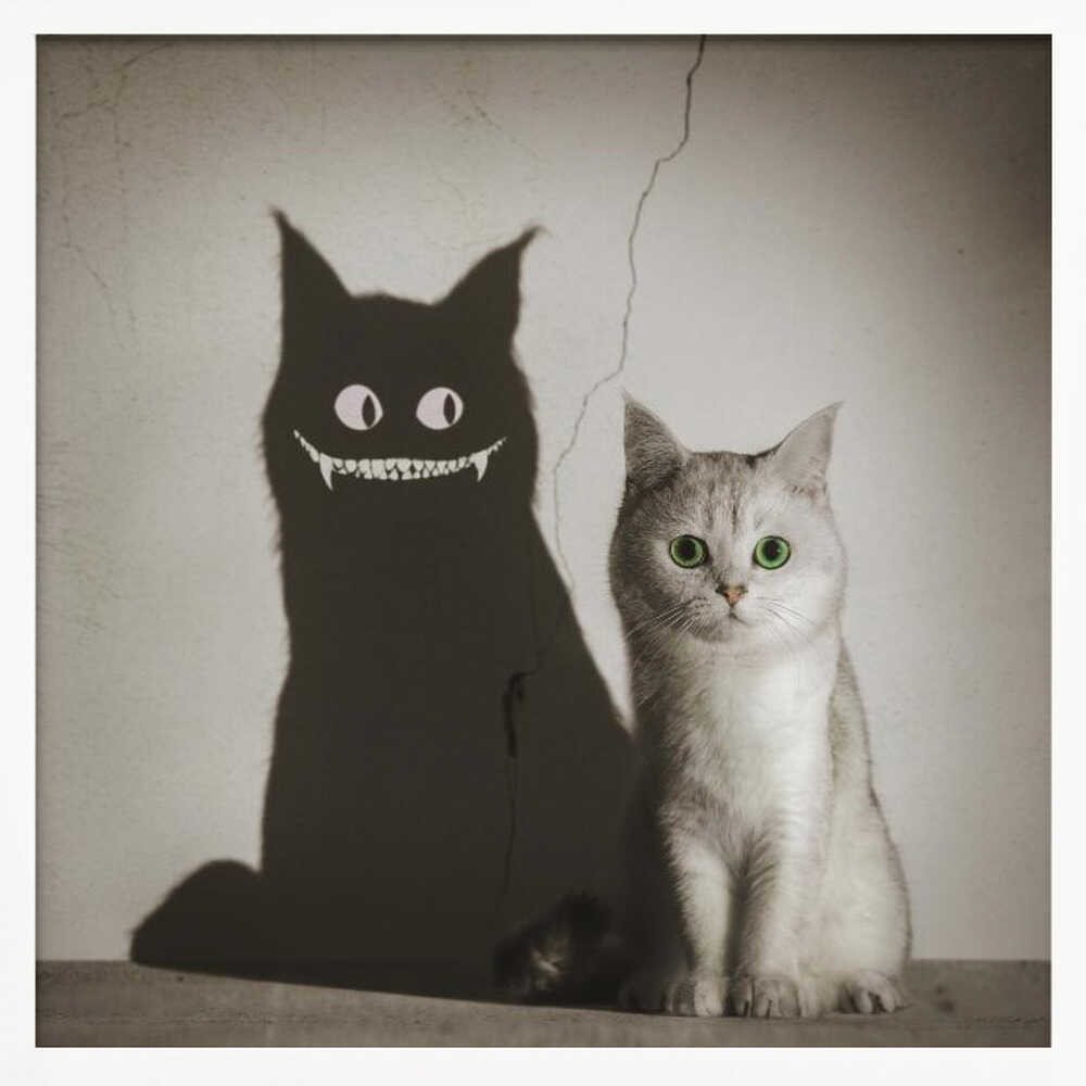 A photographic artwork of a cute, silver-grey cat with vibrant green eyes sitting beside its shadow, which is distorted into a monstrous black creature with large white eyes and a sharp, toothy grin against a cracked wall. Decor