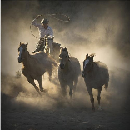 A dramatic, backlit photograph of a cowboy on horseback herding a small group of horses, kicking up a large cloud of dust as they gallop through a rustic landscape at sunrise or sunset. Poster