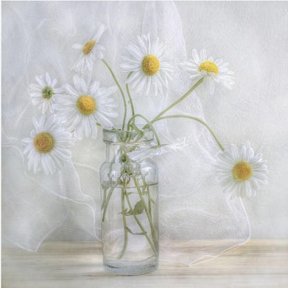 A delicate still life photograph of several white daisies with bright yellow centers in a clear glass jar. The arrangement sits on a light wooden surface against a backdrop of soft, draped white fabric. The entire image is enclosed in a light wood frame. Artwork