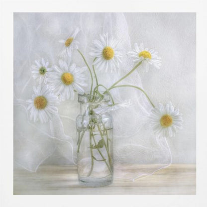 A delicate still life photograph of several white daisies with bright yellow centers in a clear glass jar. The arrangement sits on a light wooden surface against a backdrop of soft, draped white fabric. The entire image is enclosed in a light wood frame. Artwork