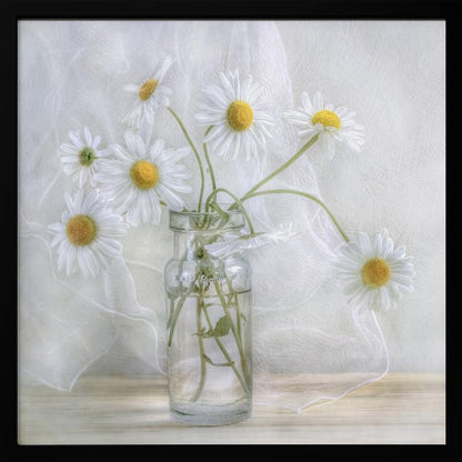 A delicate still life photograph of several white daisies with bright yellow centers in a clear glass jar. The arrangement sits on a light wooden surface against a backdrop of soft, draped white fabric. The entire image is enclosed in a light wood frame. Artwork