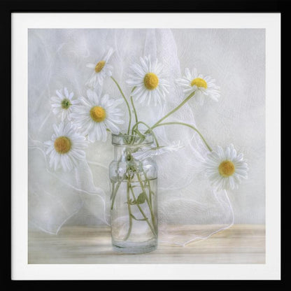 A delicate still life photograph of several white daisies with bright yellow centers in a clear glass jar. The arrangement sits on a light wooden surface against a backdrop of soft, draped white fabric. The entire image is enclosed in a light wood frame. Artwork