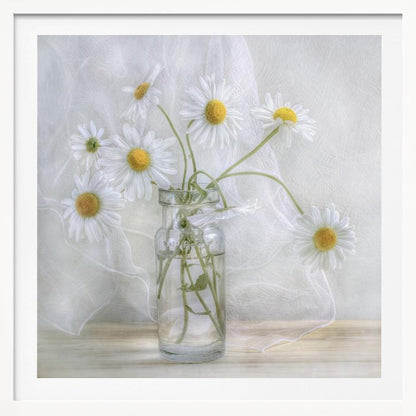 A delicate still life photograph of several white daisies with bright yellow centers in a clear glass jar. The arrangement sits on a light wooden surface against a backdrop of soft, draped white fabric. The entire image is enclosed in a light wood frame. Artwork