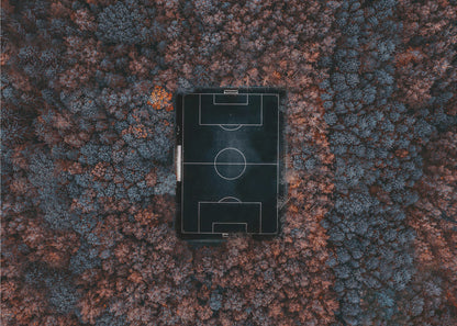 An aerial top-down photograph of a stark black soccer field with white markings, dramatically set in the middle of a dense, colorful forest with blue and rust-colored trees, all enclosed within a silver frame. Wall Art