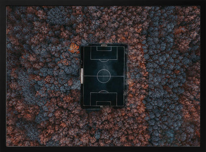 An aerial top-down photograph of a stark black soccer field with white markings, dramatically set in the middle of a dense, colorful forest with blue and rust-colored trees, all enclosed within a silver frame. Wall Art