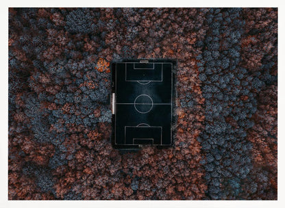 An aerial top-down photograph of a stark black soccer field with white markings, dramatically set in the middle of a dense, colorful forest with blue and rust-colored trees, all enclosed within a silver frame. Wall Art