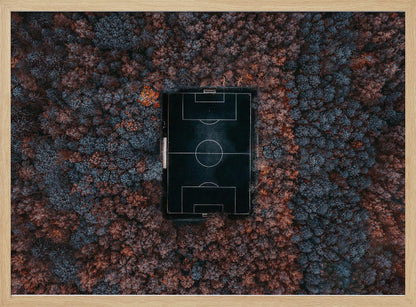 An aerial top-down photograph of a stark black soccer field with white markings, dramatically set in the middle of a dense, colorful forest with blue and rust-colored trees, all enclosed within a silver frame. Wall Art