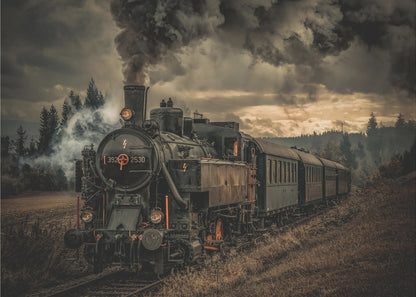 A powerful black steam locomotive on a railway track, billowing thick dark smoke into a dramatic, cloudy sky. The train travels through a rustic, grassy landscape, and the image has a warm, vintage color tone, all within a silver frame. Wall Art