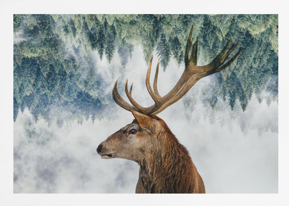 The Deer and the woods - Poster / Art Print