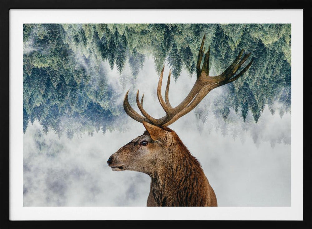 The Deer and the woods - Poster / Art Print