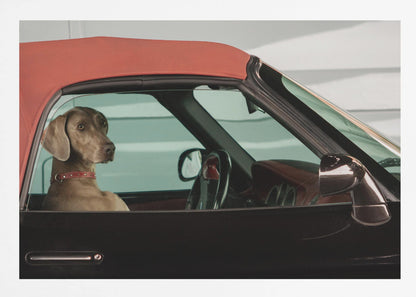 A Weimaraner dog sits in the driver's seat of a black convertible car with a red soft top. The dog is looking out the side window with a calm expression. Artwork