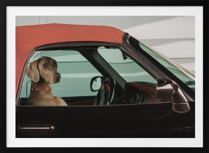 A Weimaraner dog sits in the driver's seat of a black convertible car with a red soft top. The dog is looking out the side window with a calm expression. Artwork