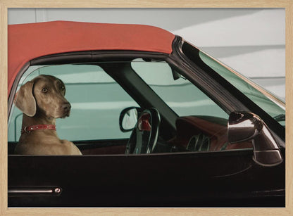 A Weimaraner dog sits in the driver's seat of a black convertible car with a red soft top. The dog is looking out the side window with a calm expression. Artwork