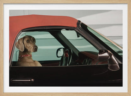 A Weimaraner dog sits in the driver's seat of a black convertible car with a red soft top. The dog is looking out the side window with a calm expression. Artwork