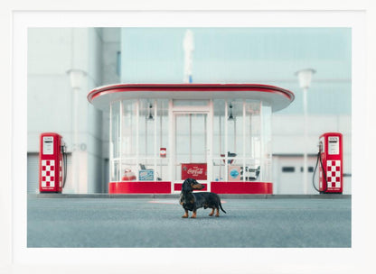 A small black and tan dachshund standing proudly on the pavement in front of a retro-style glass-walled gas station with bright red trim and two vintage red and white checkered gas pumps. Wall Art