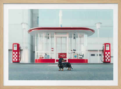 A small black and tan dachshund standing proudly on the pavement in front of a retro-style glass-walled gas station with bright red trim and two vintage red and white checkered gas pumps. Wall Art