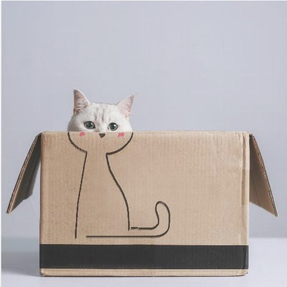 A cute white cat with green eyes peeks out of a cardboard box. The front of the box has a simple black line drawing of a cat's body, making it look as if the real cat's head belongs to the drawing. The image is set against a light gray background and enclosed in a light wood frame. Wall Art
