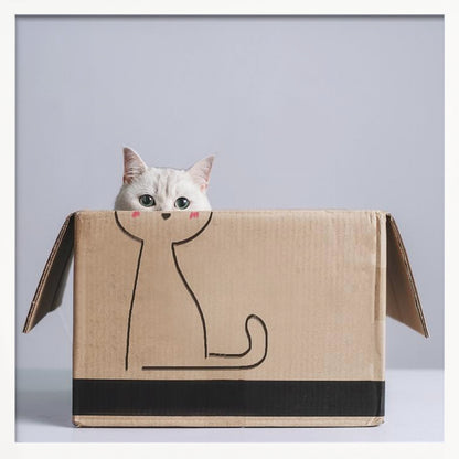A cute white cat with green eyes peeks out of a cardboard box. The front of the box has a simple black line drawing of a cat's body, making it look as if the real cat's head belongs to the drawing. The image is set against a light gray background and enclosed in a light wood frame. Wall Art
