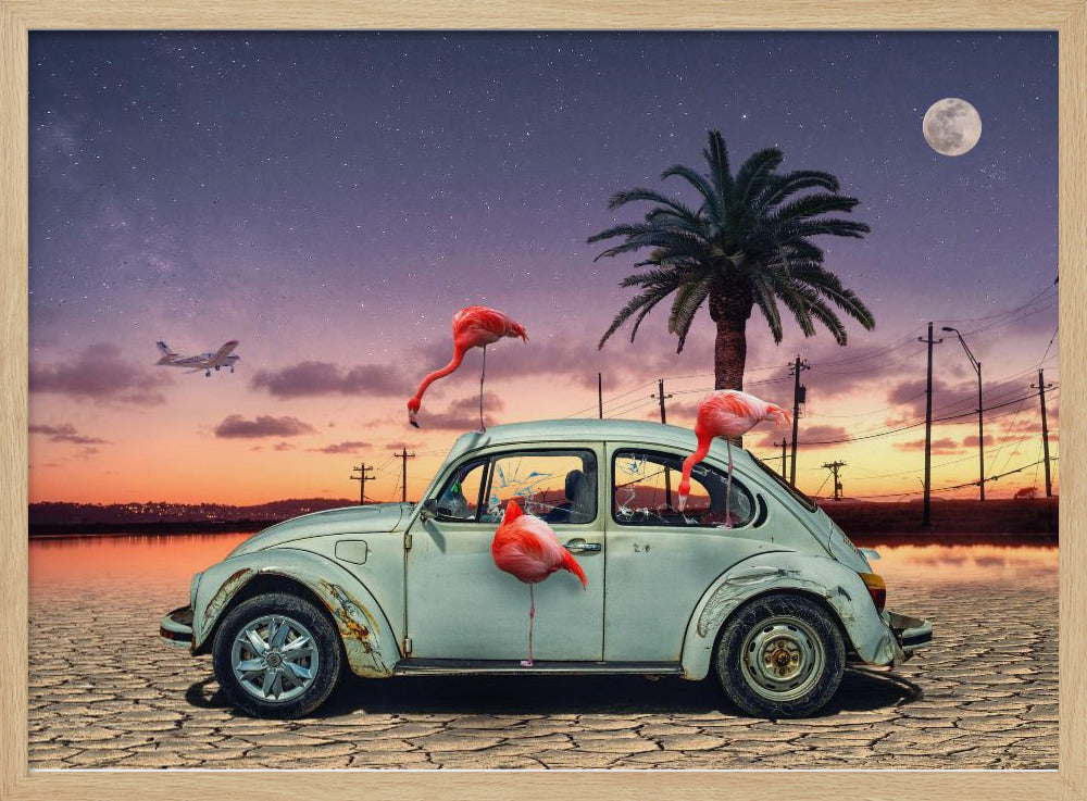 Flamingos Ate My Car - Poster / Art Print