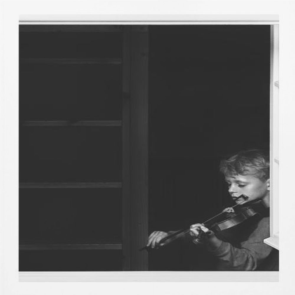 Violinist in the window - Poster / Art Print